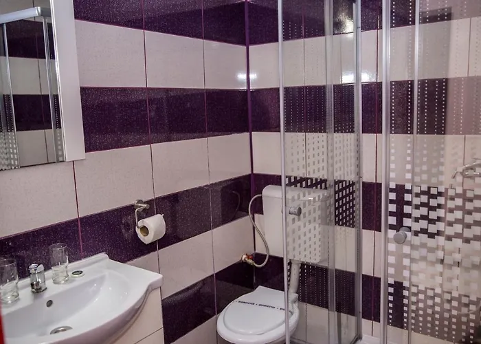 Guest house Casa Raul Eforie Nord