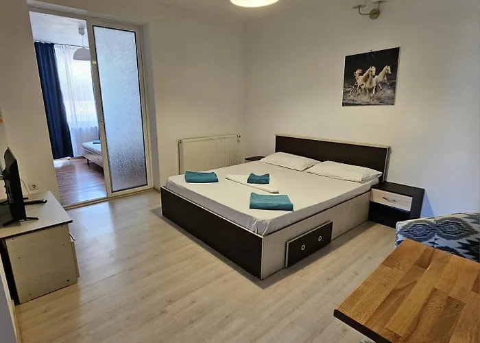 Guest house Casa Raul 3*