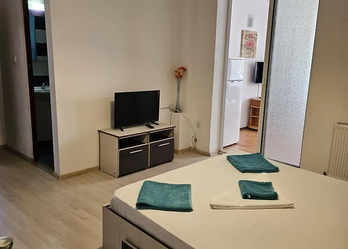 Guest house Casa Raul Eforie Nord