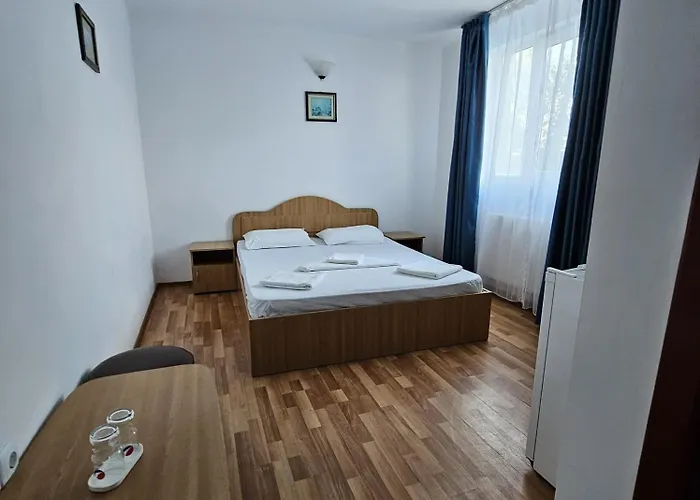 Guest house Casa Raul 3*